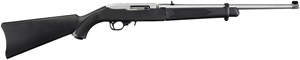 Ruger 10/22 Takedown Stainless 11100